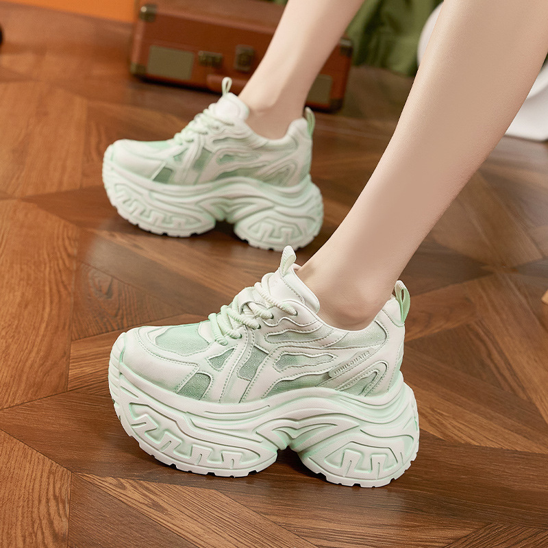 여성 패션 청키 플랫폼 스니커즈 통기성 메쉬 미끄럼 방 - Chunky Sneaker Platform 리뷰 및 가격